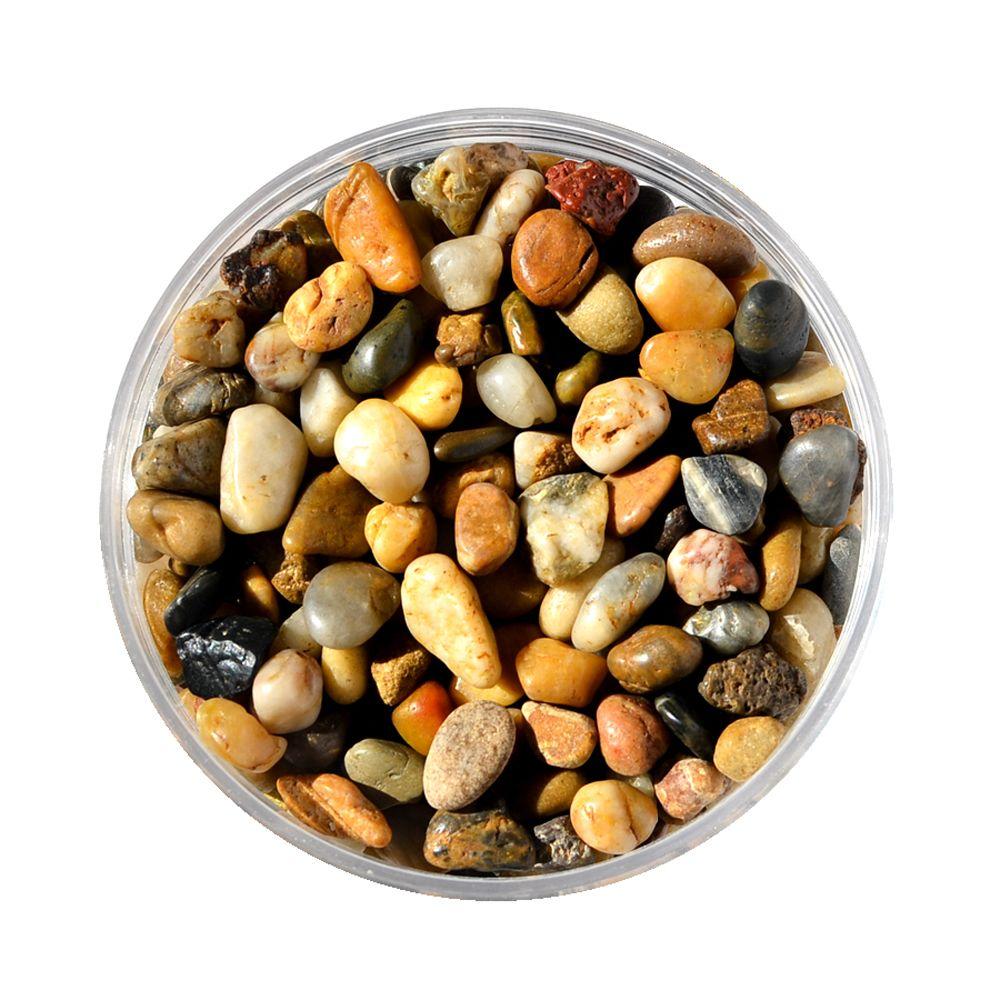 Mosser Lee 5 lb. River Pebbles in Storage Jar by Mosser Lee