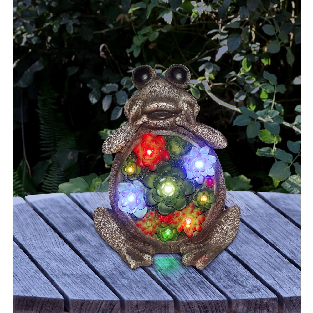 Alpine Corporation 12 In Tall Solar Frog Statue With Succulent