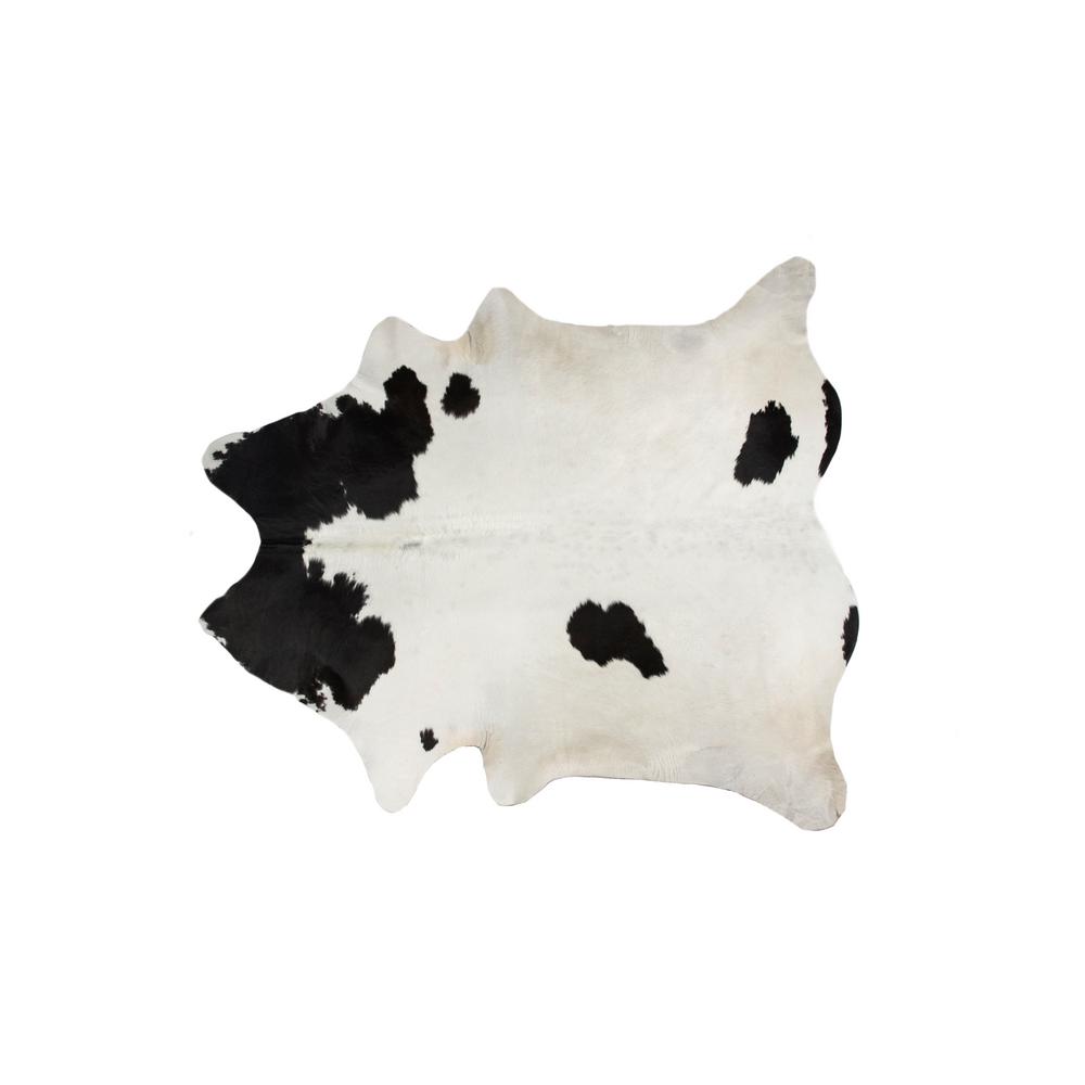 5 X 7 MultiColored Area Rugs Rugs The Home Depot