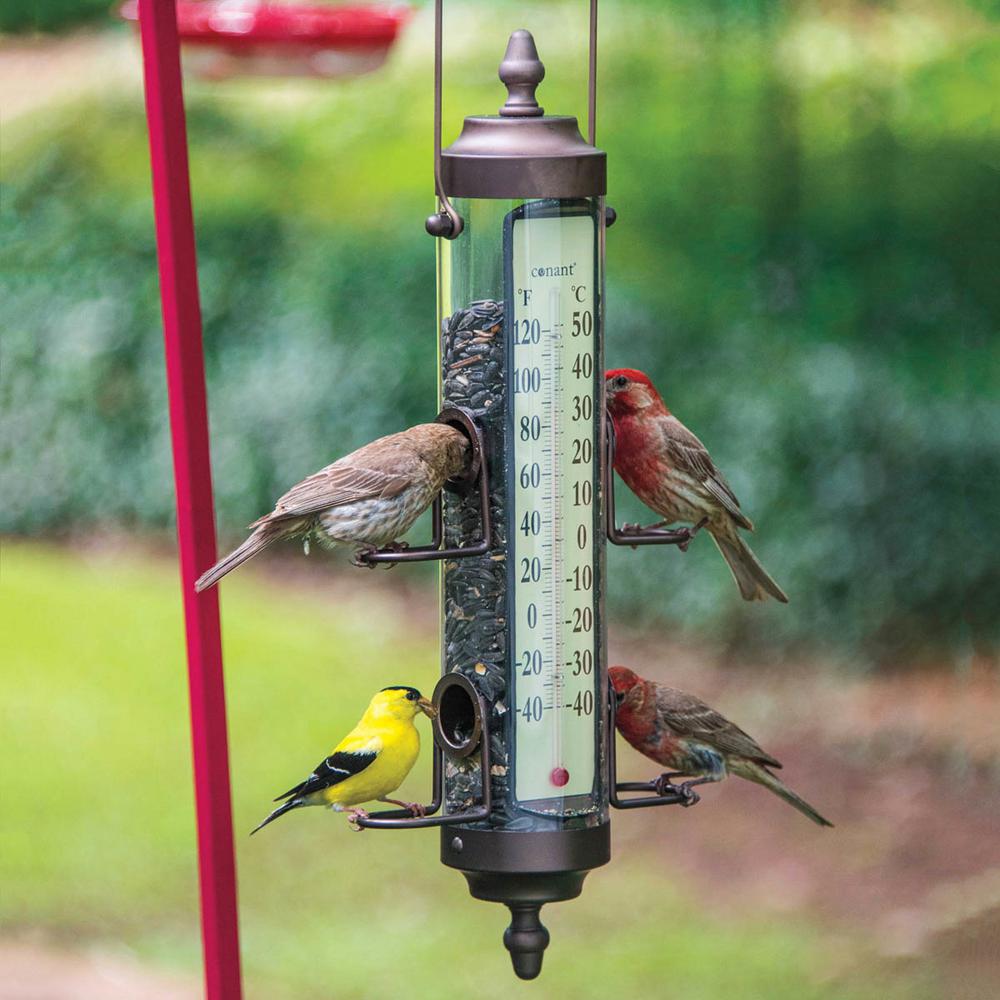 Audobon Workshop 17 50 In Tall Birdfeeder And Thermometer 1892