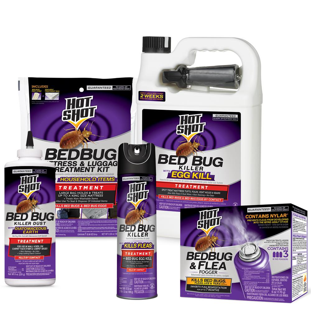 bed bugs treatment