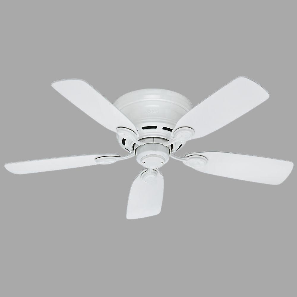 Hunter Low Profile 42 In Indoor Snow White Ceiling Fan 51059