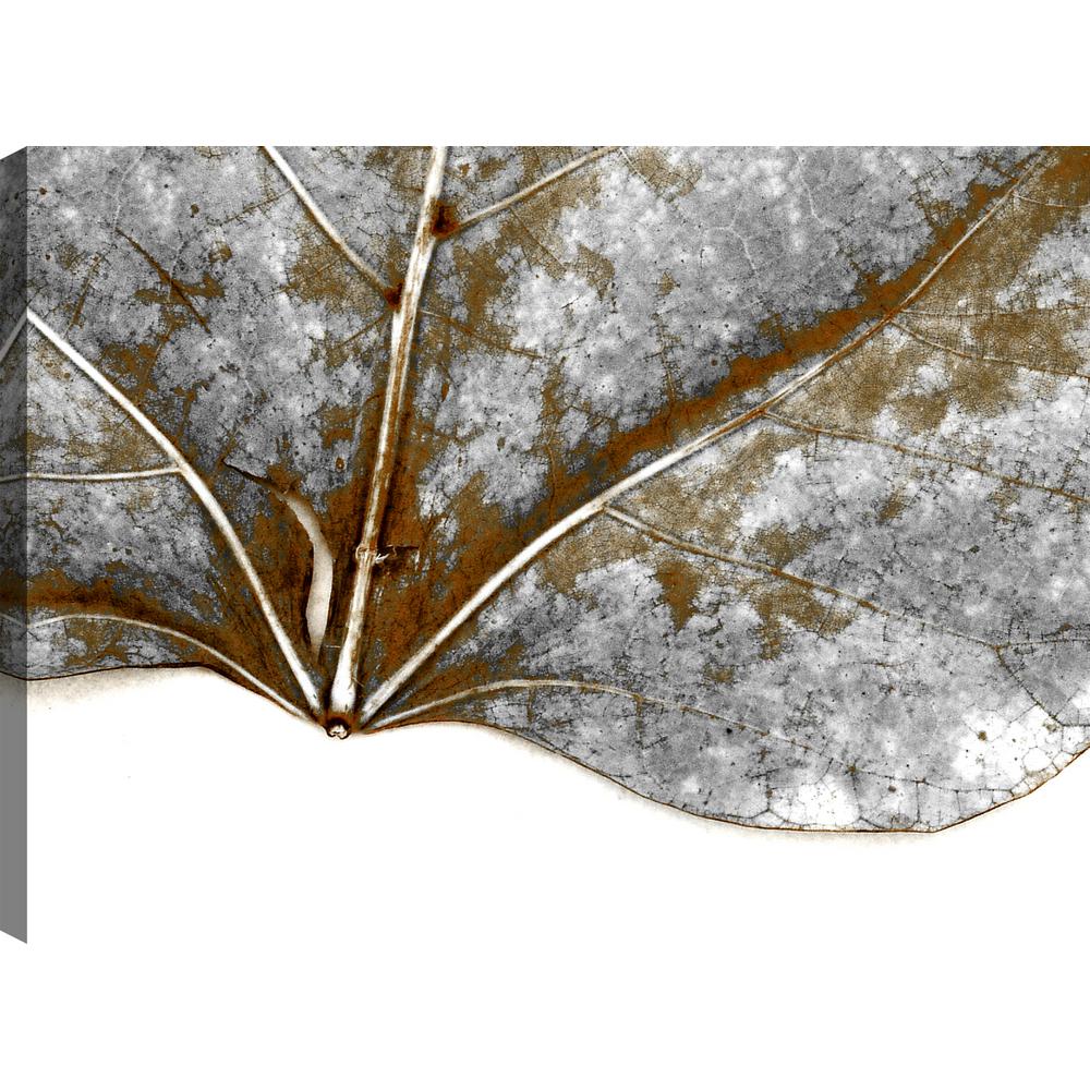 Artmaison Canada The Leaf I Fresh Printed Canvas Wall Art Decor Artmaison Canada The Leaf I Fresh Printed Canvas Wall Art Decor Unframed Gallery