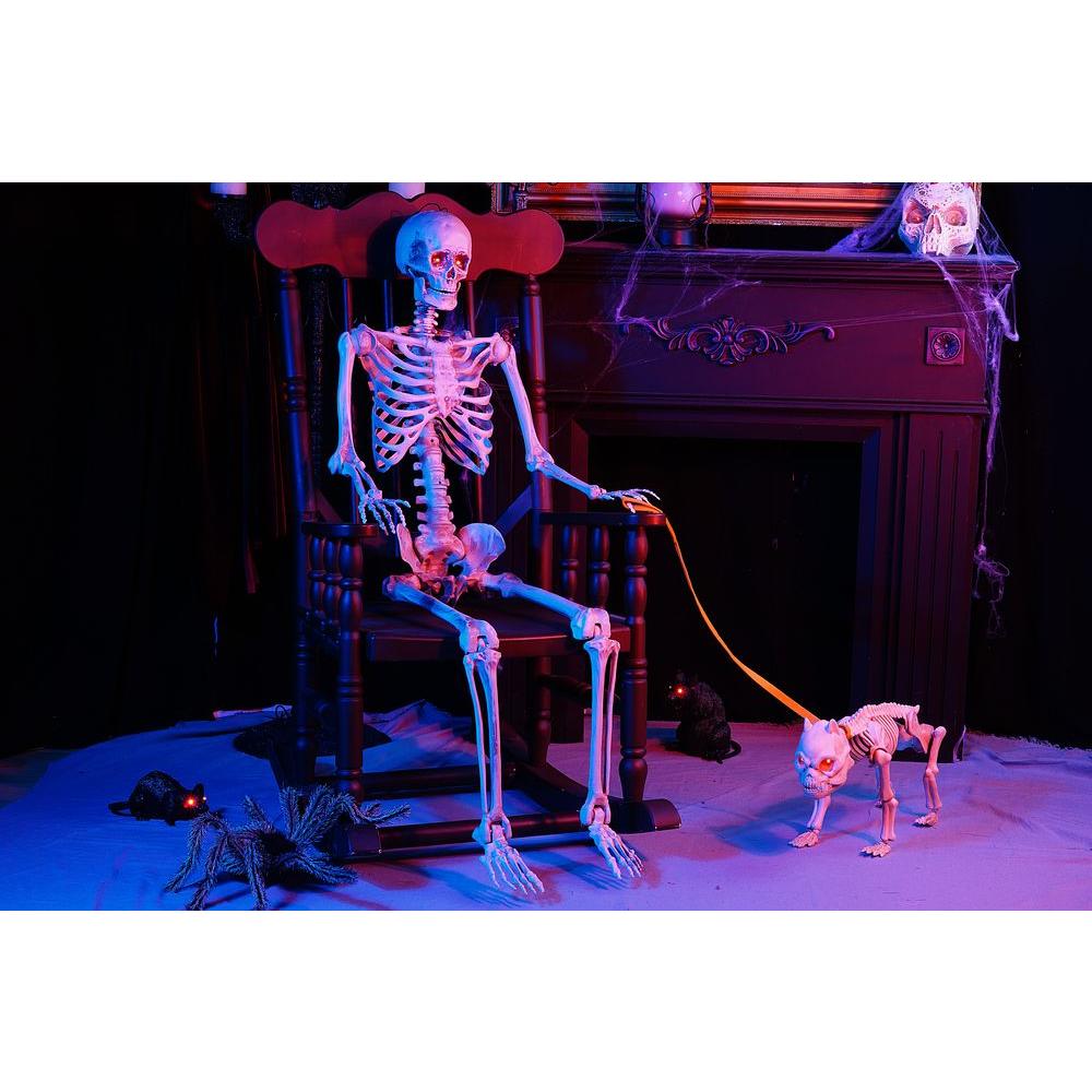 posable skeleton model