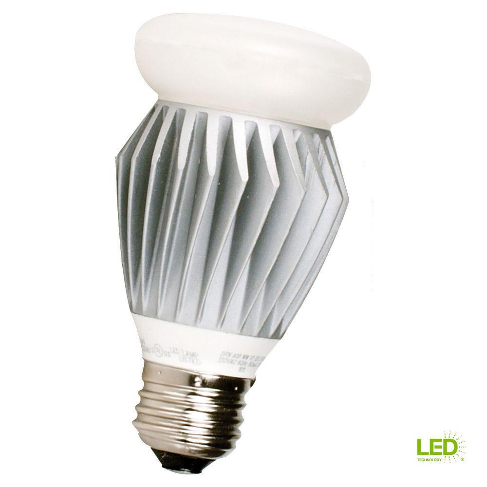 Decorative Outdoor Led Bulbs Light The Home Depot Ambiance 8w Equivalent Soft White 3000k A19 Led Light Bulb