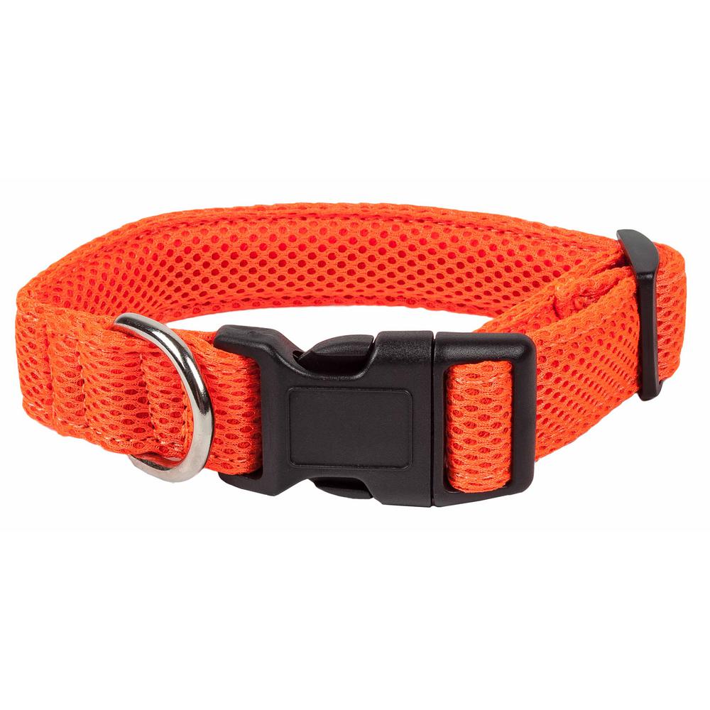 orange dog collar and leash