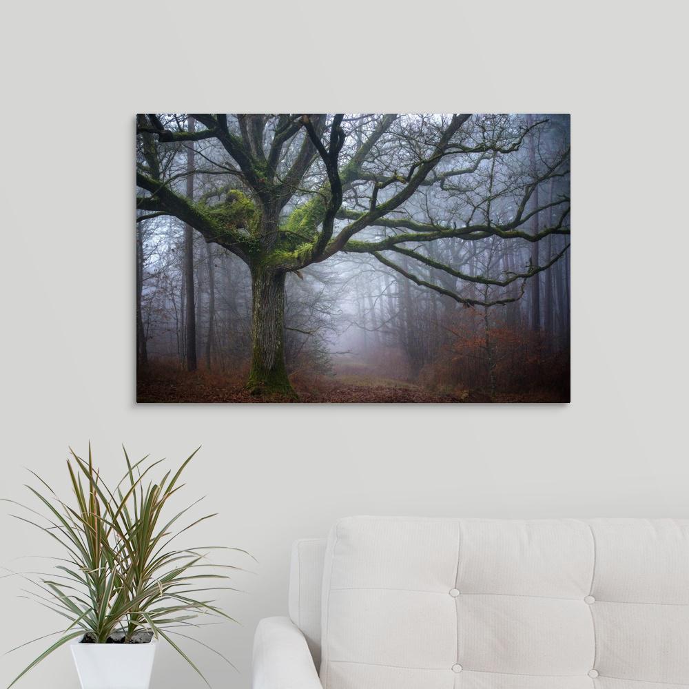 Greatcanvas Old Oak Tree By Philippe Manguin Canvas Wall Art Greatcanvas Old Oak Tree By Philippe Manguin Canvas Wall Art 2497360 24 30x20 The Home Depot
