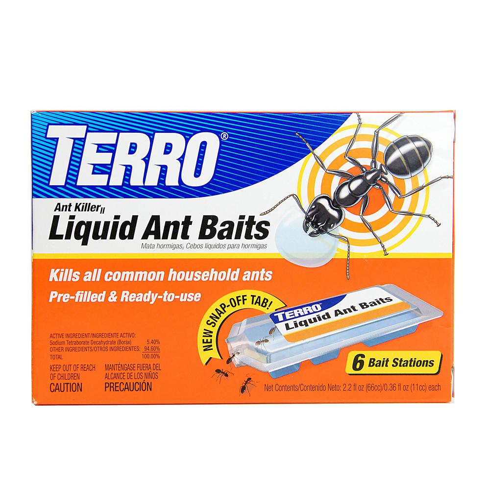 ant bait