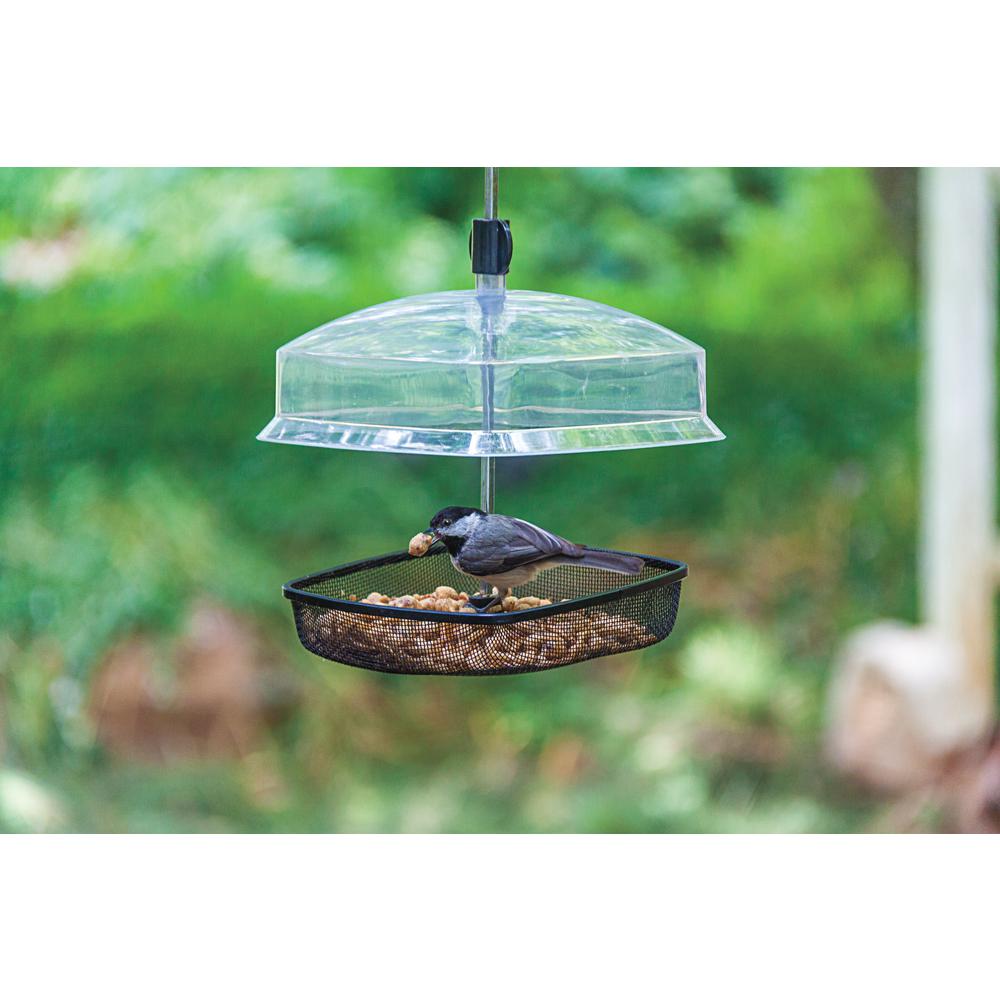 Audobon Workshop Multi Treat Backyard Bird Feeder 3640 The Home
