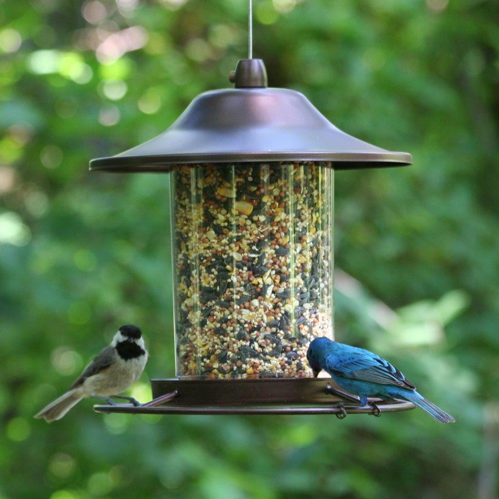 Perky Pet Brown Panorama Hanging Bird Feeder 2 Lb Capacity 312