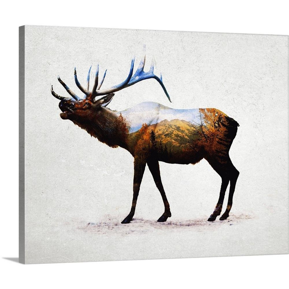 Greatbigcanvas Rocky Mountain Elk By Davies Babies Canvas Wall Art 2381467 24 30x24 The Home Depot