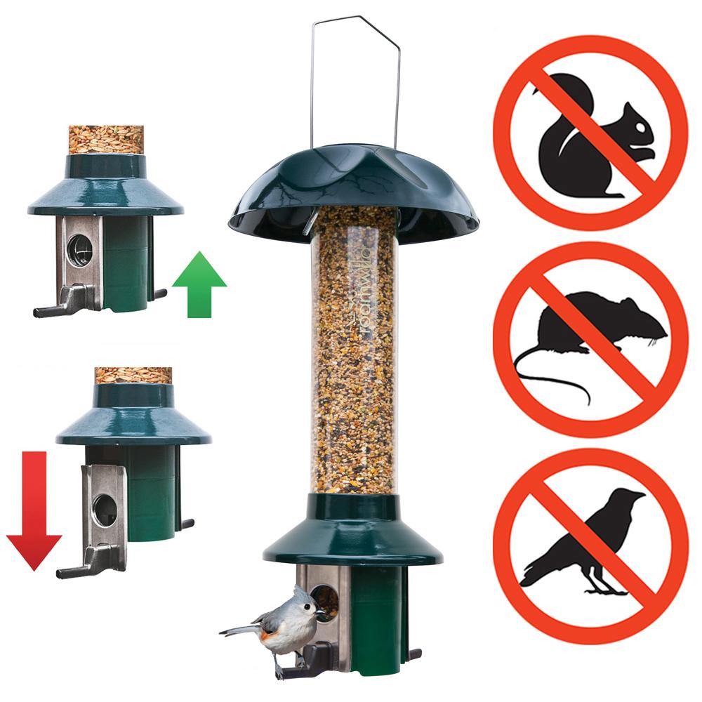 Patio Lawn Garden Birds Roamwild Pestoff Squirrel Proof Bird