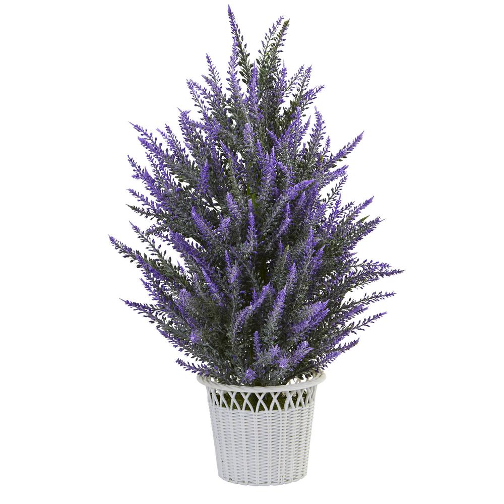 lavender plant icon