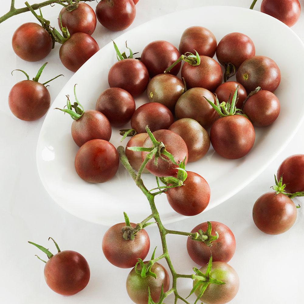 Bonnie Plants 4.5 in. 19.3 oz. TomatoBlack Cherry0211