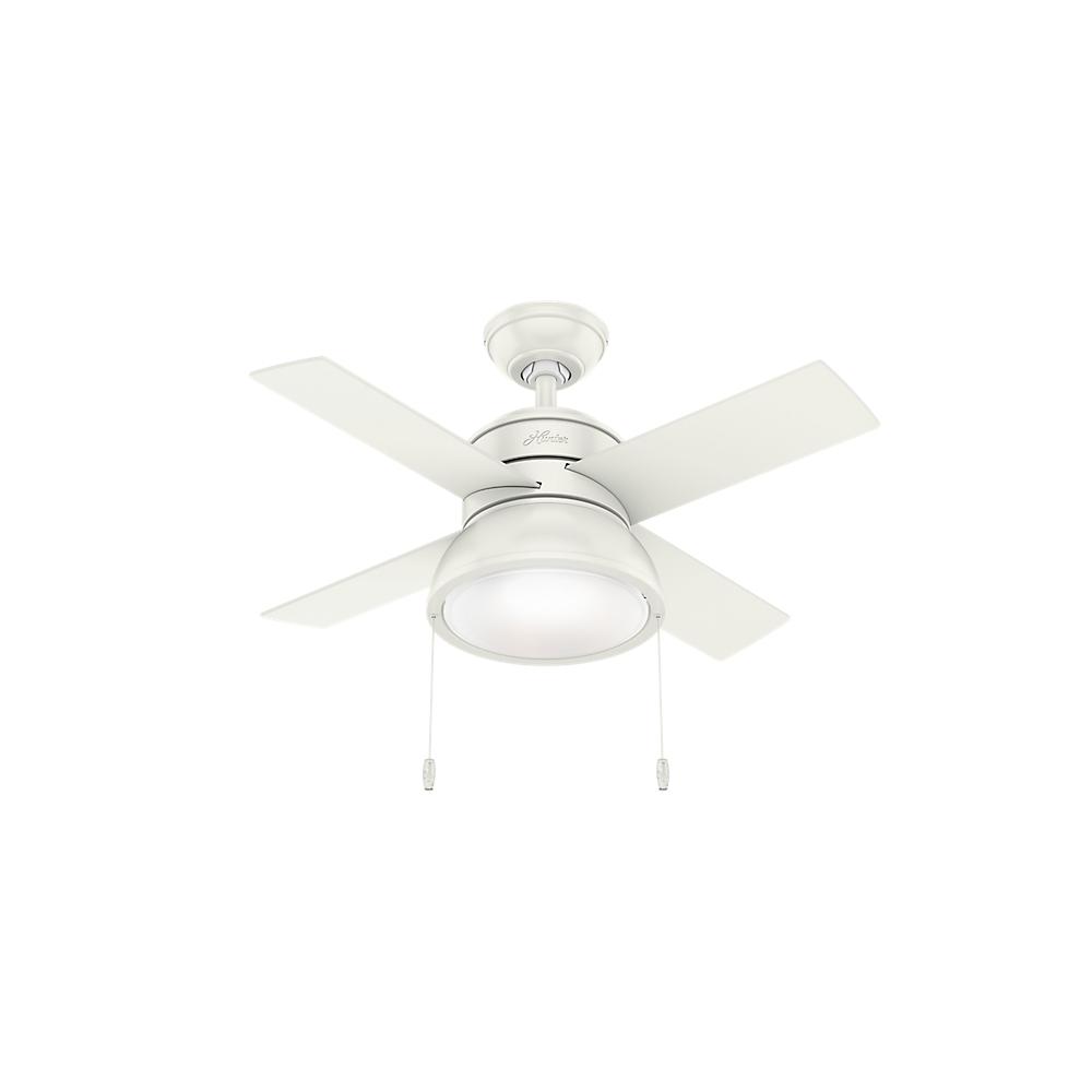 Hunter Loki 36 In Integrated Led Indoor Fresh White Ceiling Fan Indoor Fresh White Ceiling Fan