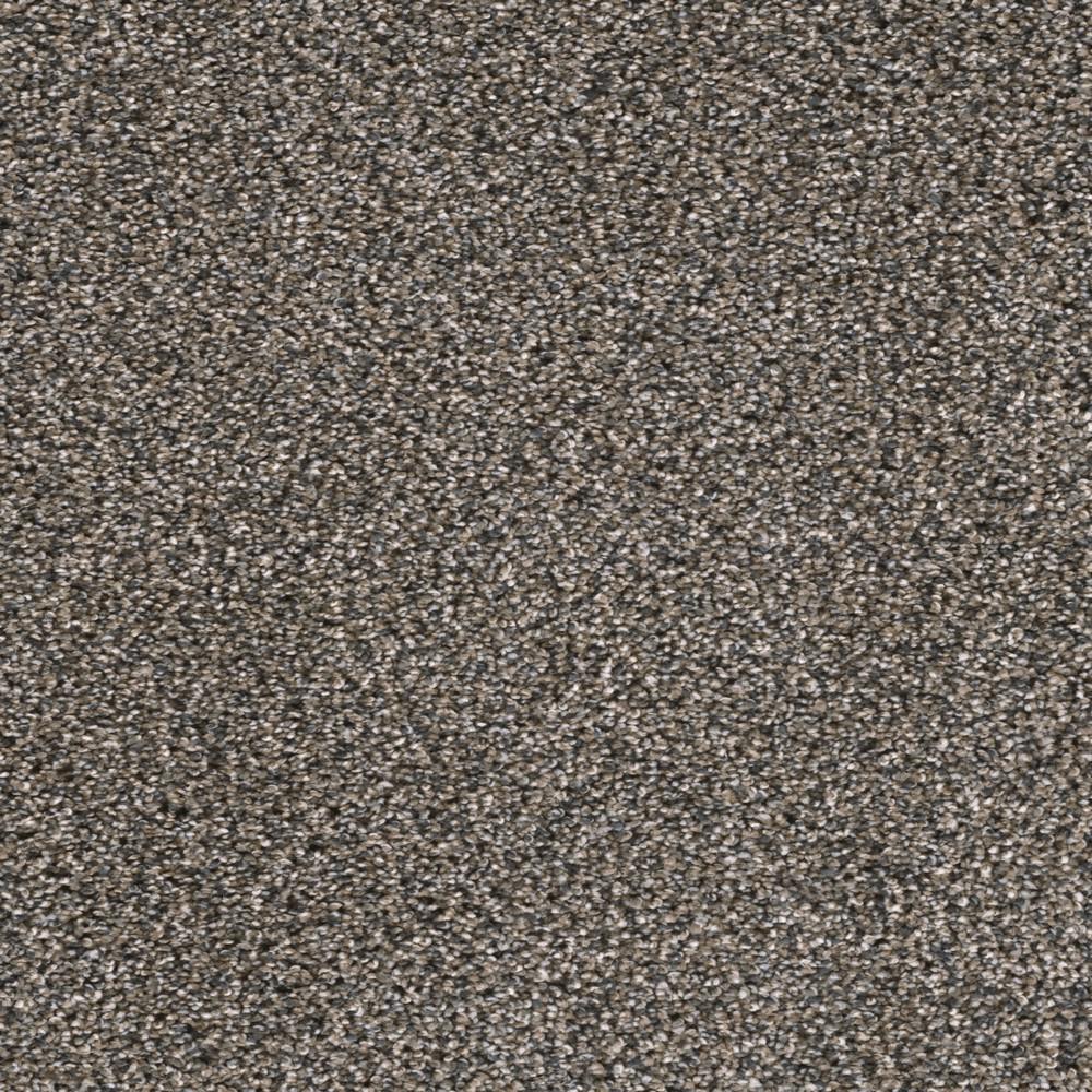 TrafficMASTER Otis Color Upscale Texture 12 ft. CarpetH41211341200