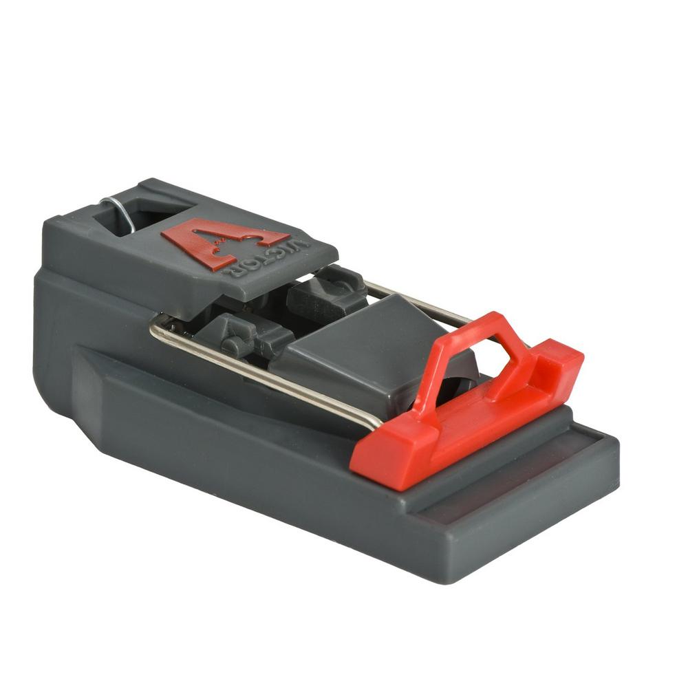 mouse trap setup