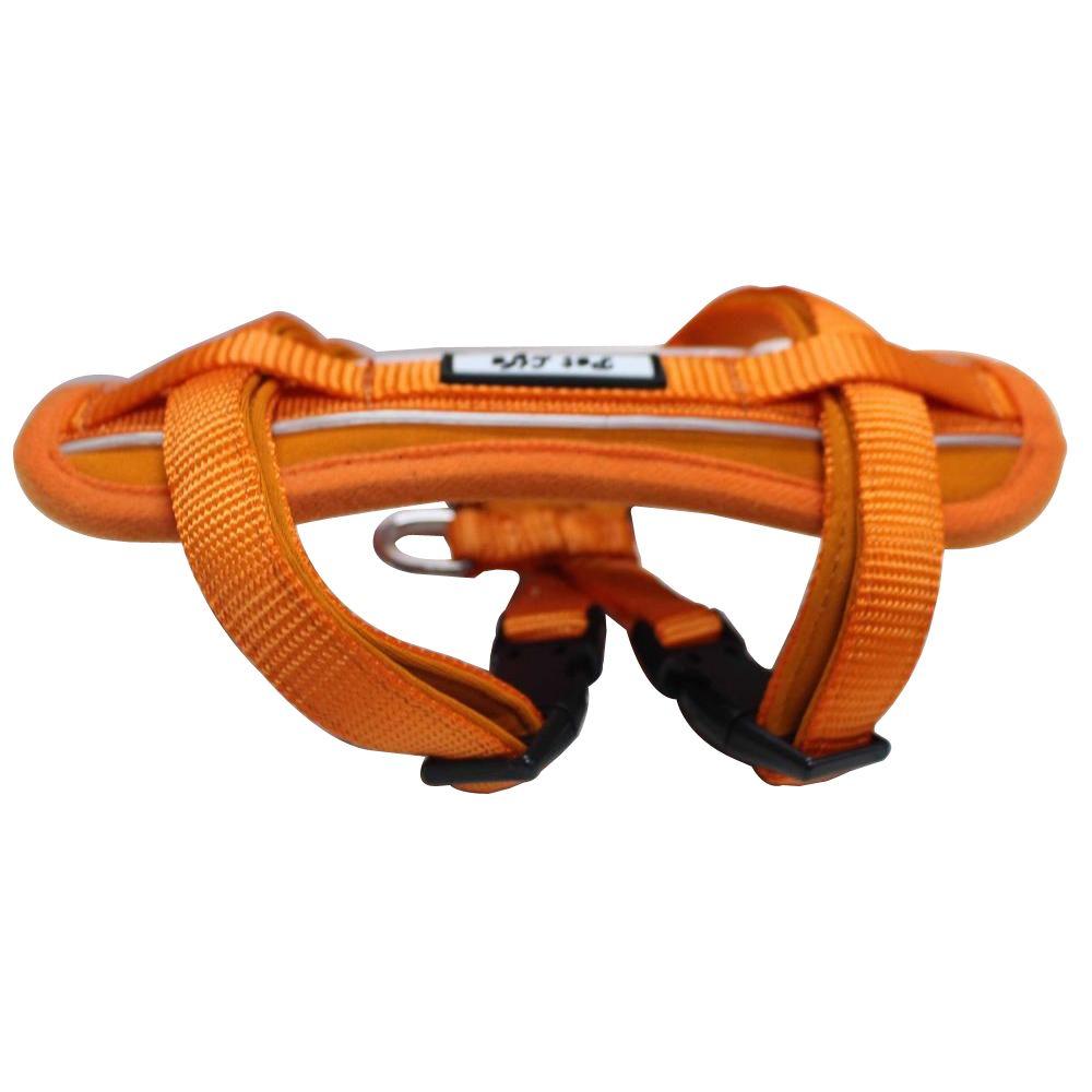 orange harness for dogs