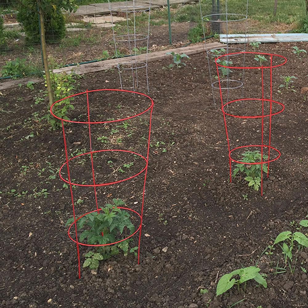 Home depot tomato plant cage Idea