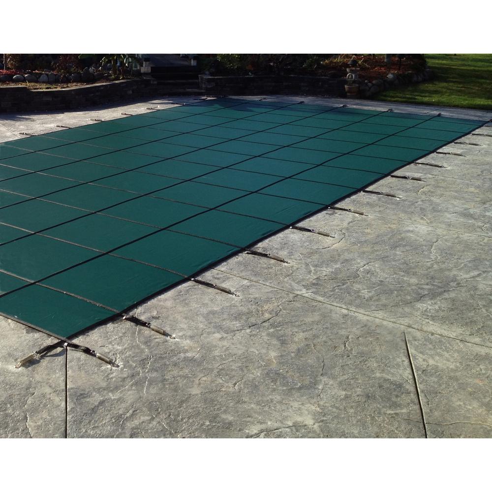 pool water stays green