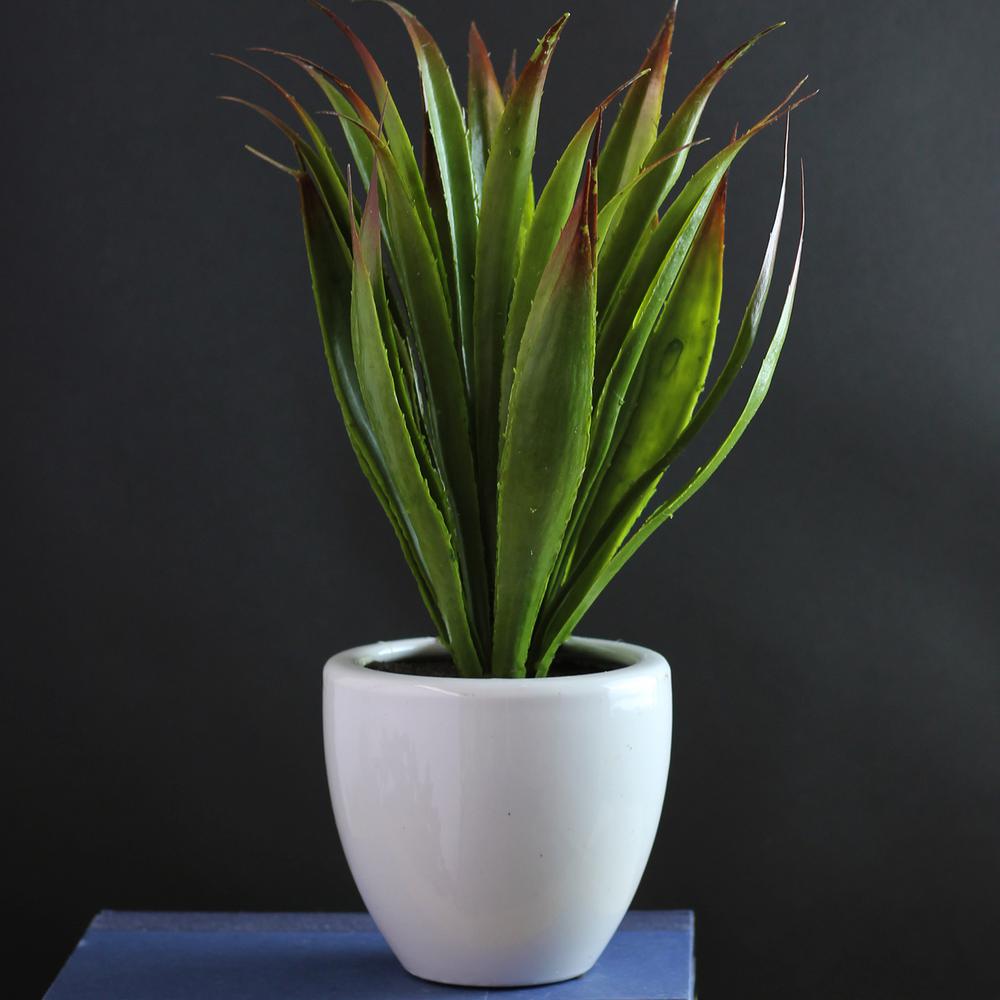 Northlight 13.5 in. Artificial Succulent Plant in Pot32037455 The