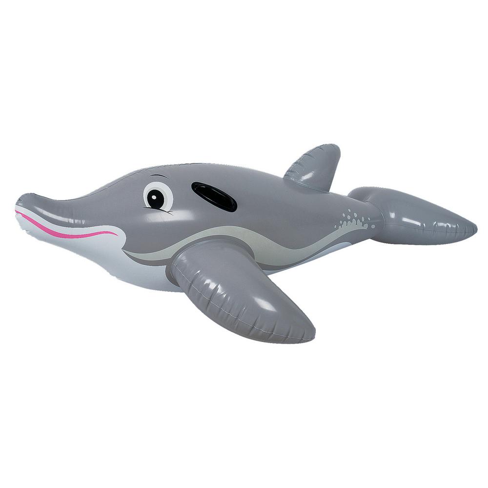 dolphin water toy