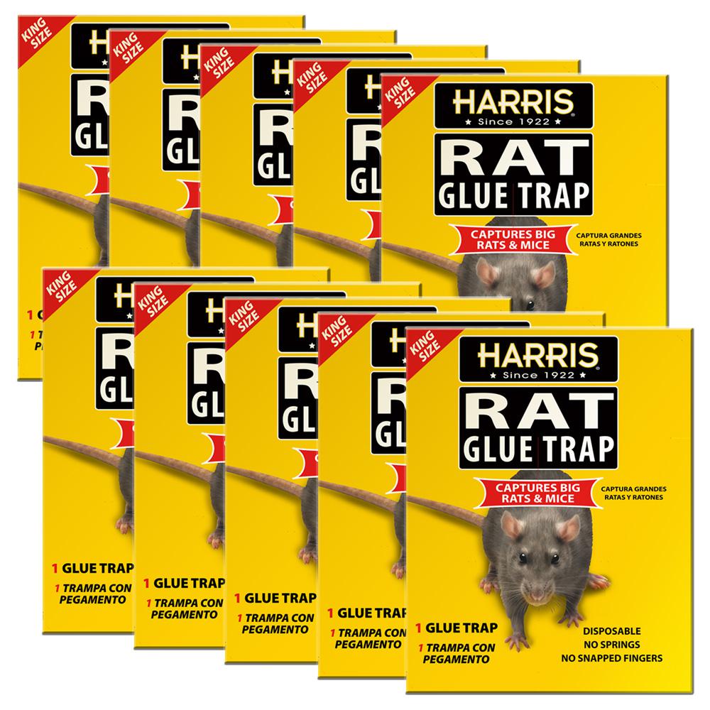 Harris King Size Rat and Mouse Glue Trap (10Pack)10KINGRAT The