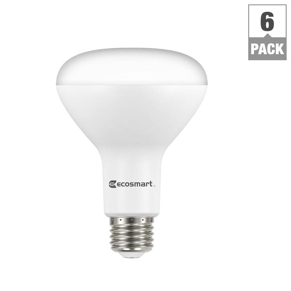 EcoSmart - Light Bulbs - Lighting - The Home Depot