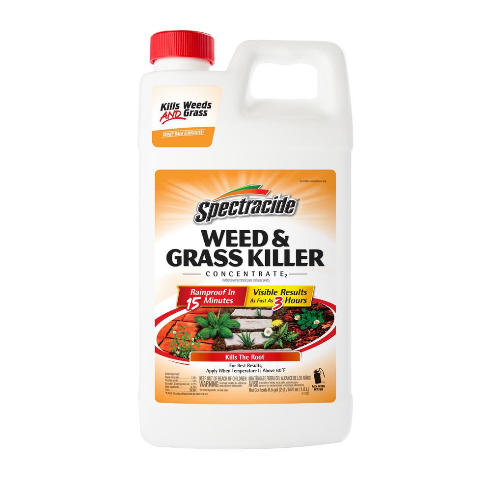 Bahia Grass - Weed Killer - Lawn Care - The Home Depot