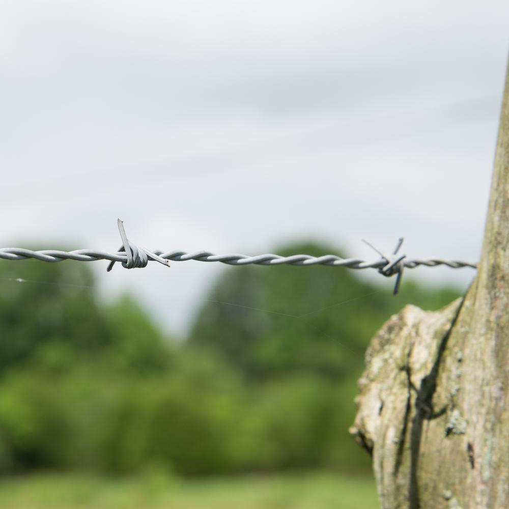 buy barbed wire by the foot