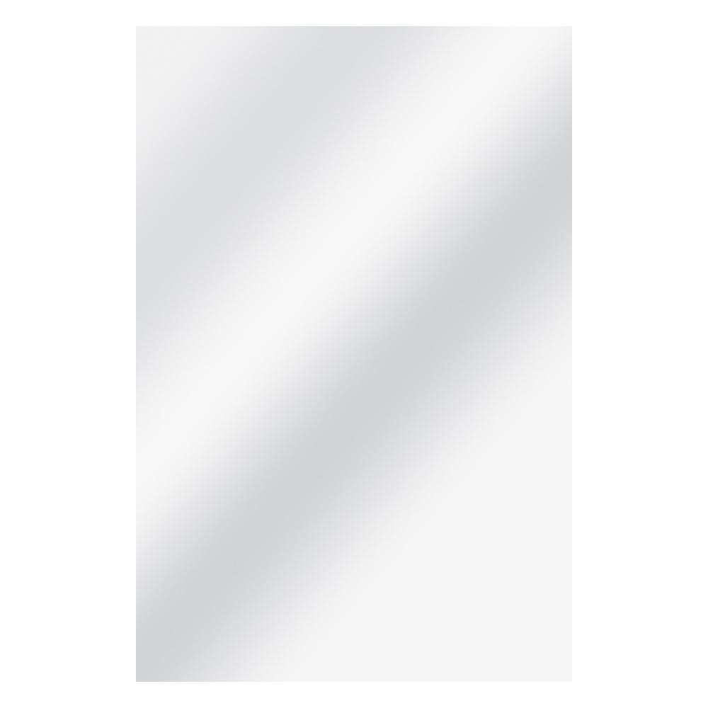 Glacier Bay 24 in. W x 36 in. L Polished Edge Bath Mirror81186 The