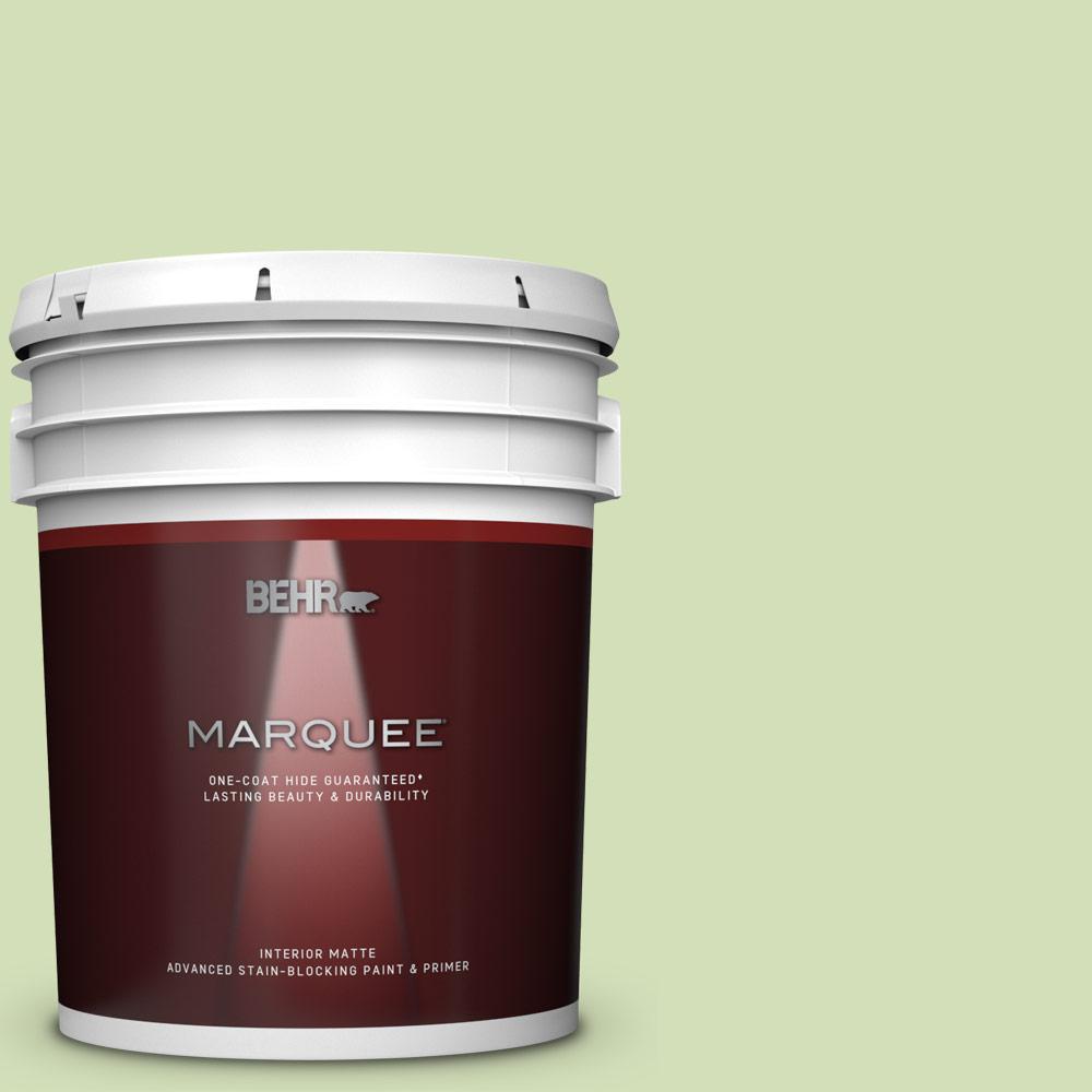 BEHR MARQUEE 5 gal. MQ445 Spring Glow OneCoat Hide Matte Interior