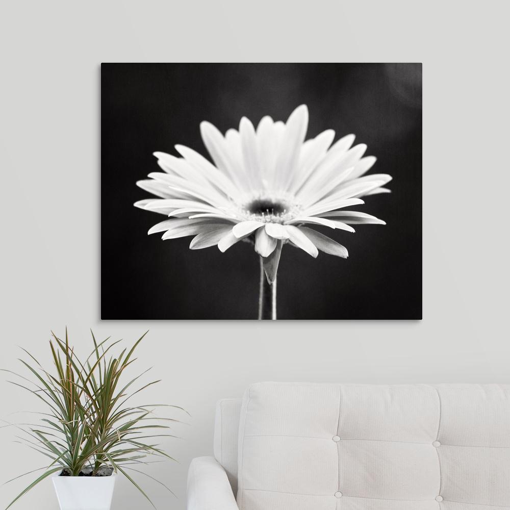 30 In X 24 Daisy By Yn Cochrane Canvas Wall Art