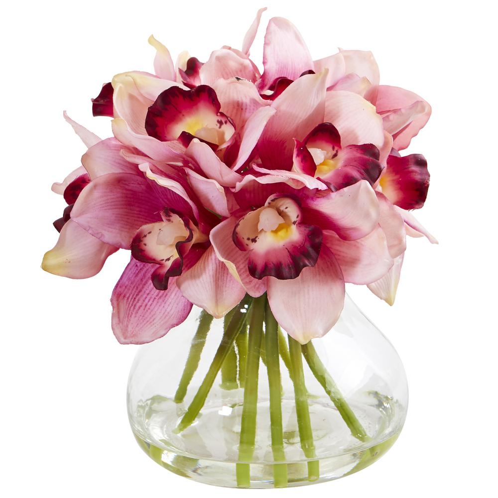 cymbidium