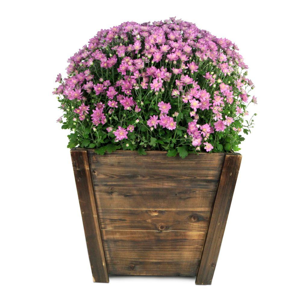 Pennington 16 in. Dark Flame Wood Tapered Planter