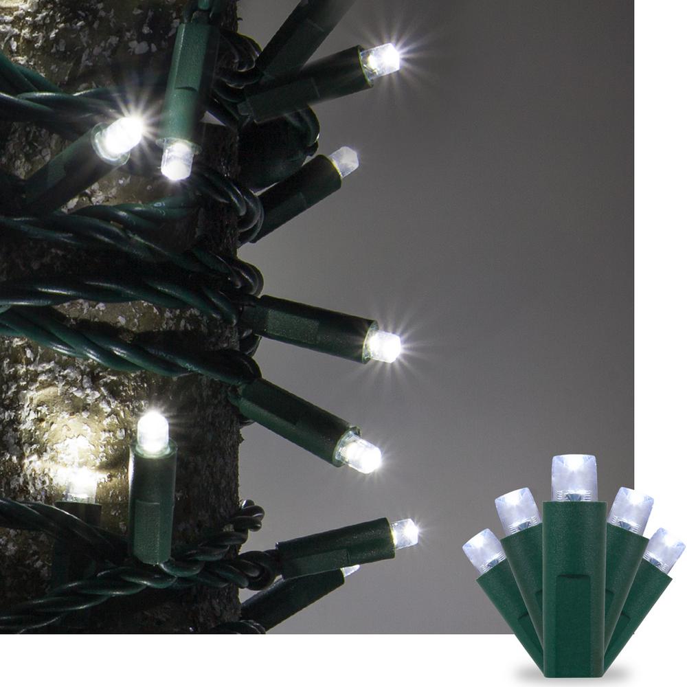 Cool White Indoor Outdoor String Lights 50 Light Cool White 5 Mm Led Mini Set