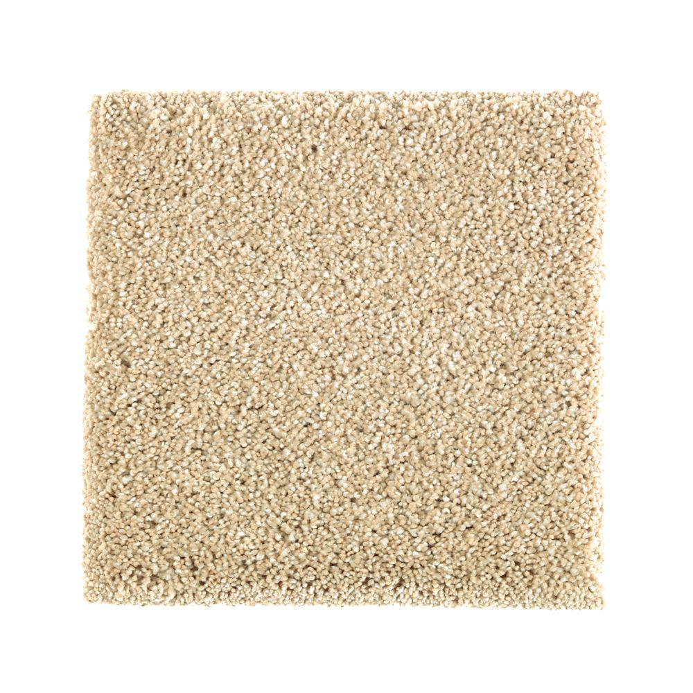 Petproof Whirlwind I Color First Choice Texture 12 Ft Carpet Petproof Whirlwind I Color First Choice Texture 12 Ft Carpet 0637d 25 The Home Depot