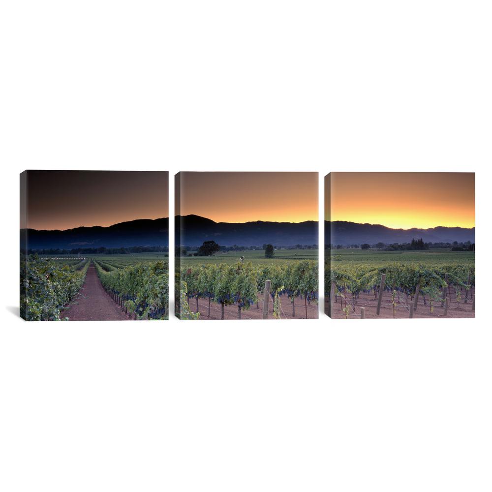 Icanvas Vineyard Landscape Napa Valley Ava Napa County California Usa By Panoramic Images Canvas Wall Art Pim331 3pc3 48x The Home Depot