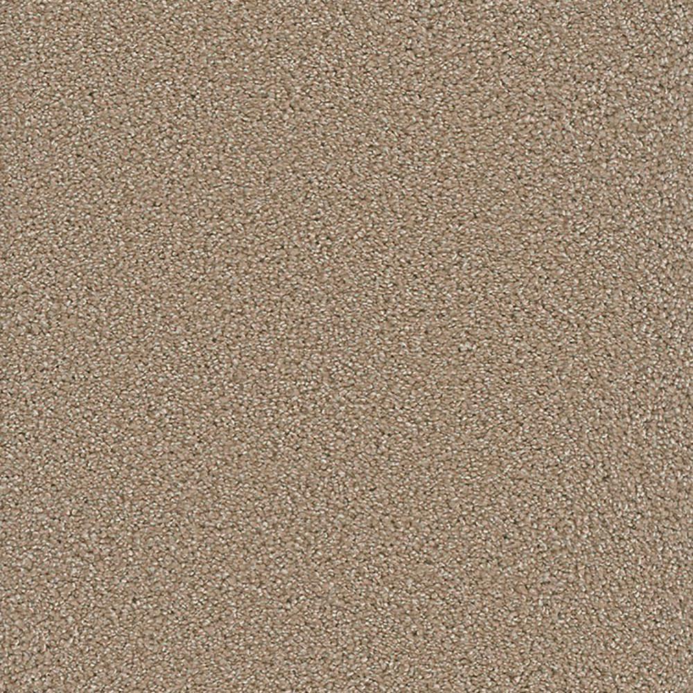 Browns / Tans Hypoallergenic Carpet Carpet & Carpet Tile The