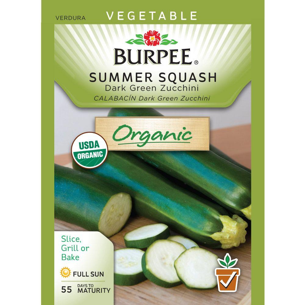 Burpee Squash Summer Dark Green Zucchini Organic Seed ...