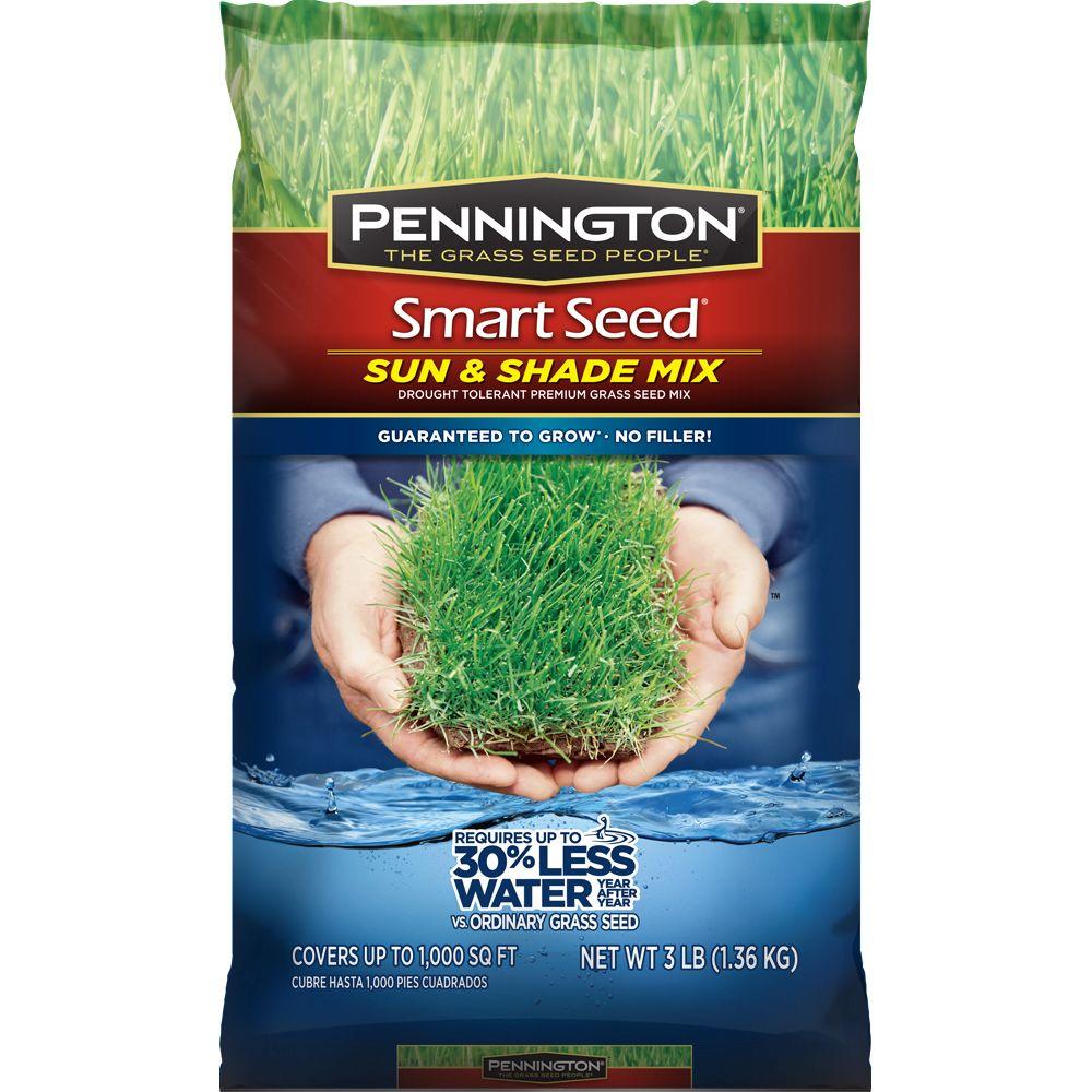Mixed Grass Seed Lawn Care The Home Depot