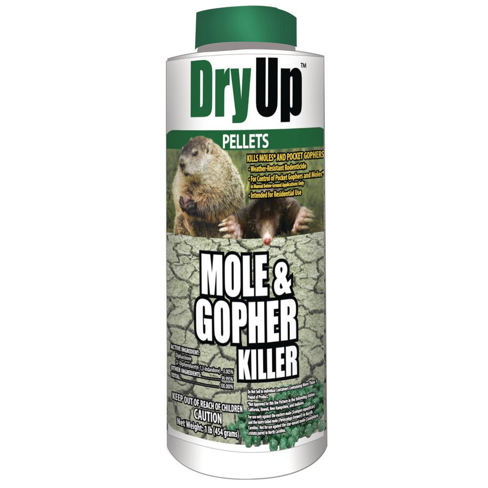 Amazon Com Victor M6006 4 Mole Gopher Poison Peanuts 4 Pack Brown Garden Outdoor