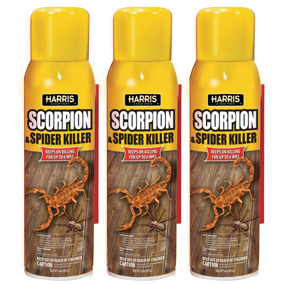 scorpion spray