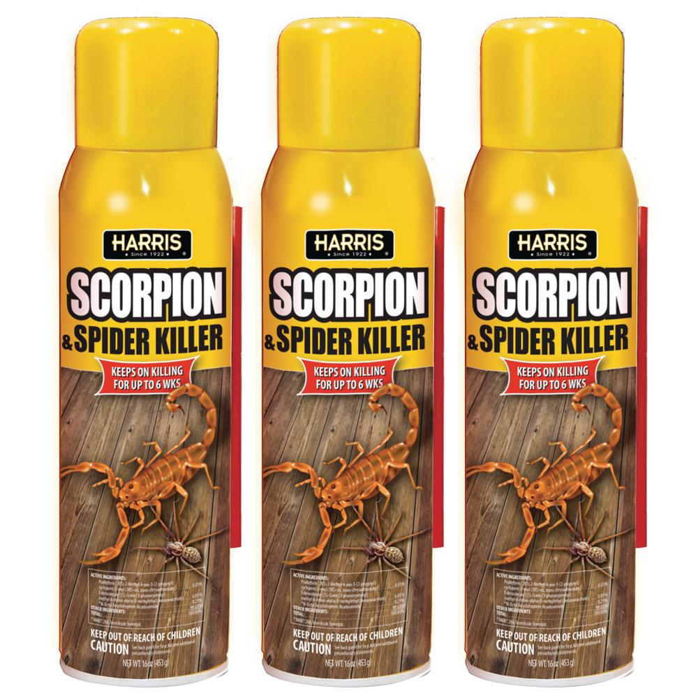 spider scorpion spray