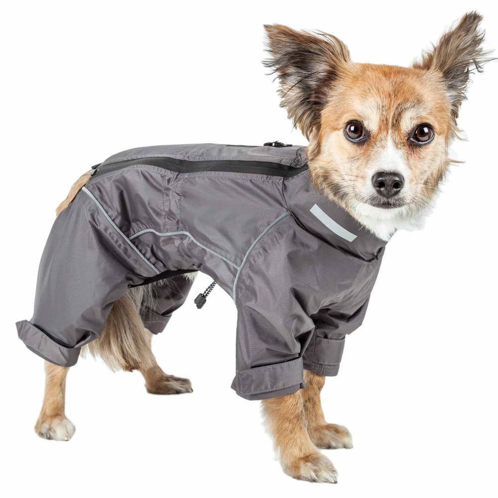 x small dog coat