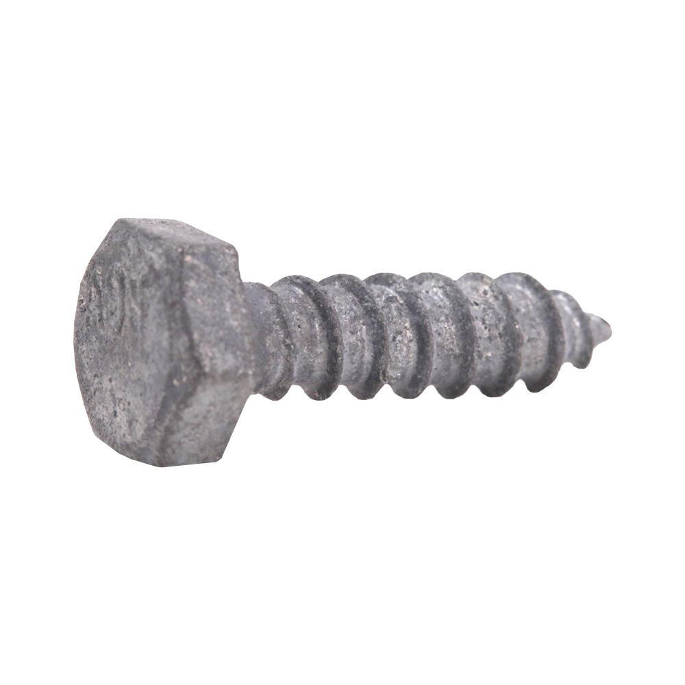 Everbilt 1/4 in. x 1 in. Hex Galvanized Lag Screw803706 The Home Depot