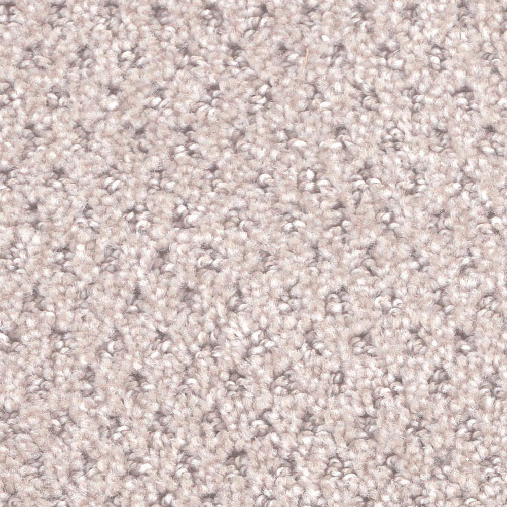 TrafficMASTER Carpet Sample Picolo Color Carter Pattern 8 in. x 8