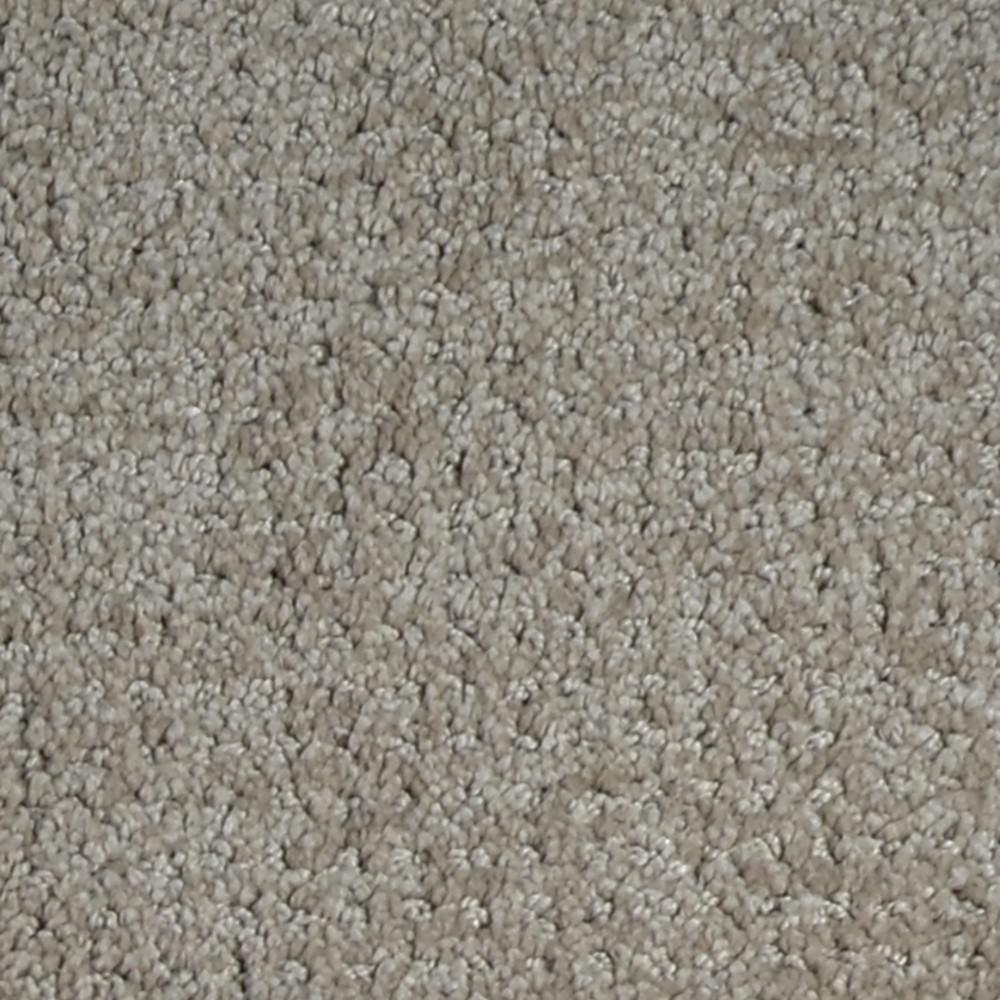 Platinum Plus Carpet Sample Heirlooms Color Legacy Pattern 8 in. x