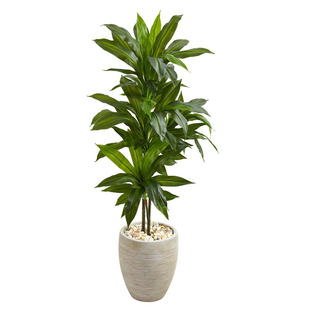 Nearly Natural Real Touch 4 Ft Indoor Dracaena Artificial Plant In   Nearly Natural Artificial Plants 6456 64 600 