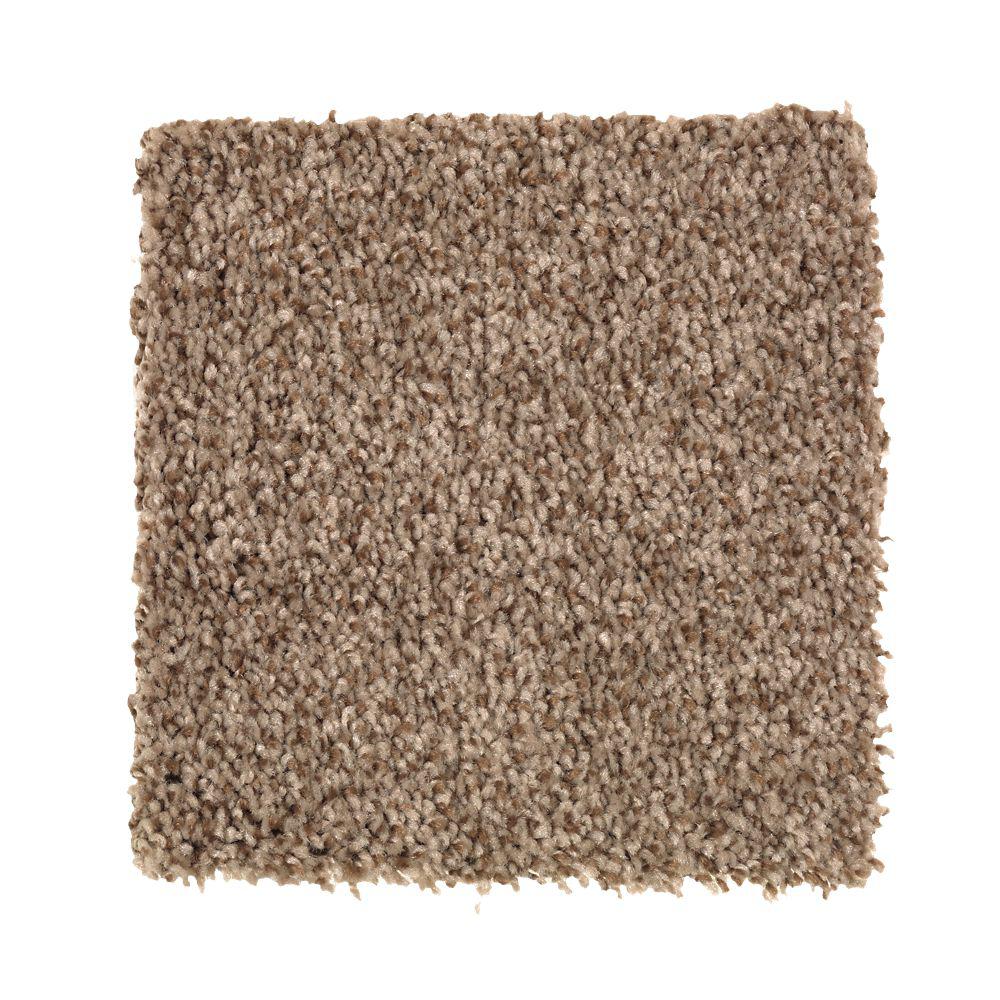  Home  Decorators  Collection  Carpet Sample Gemini  II  Color 